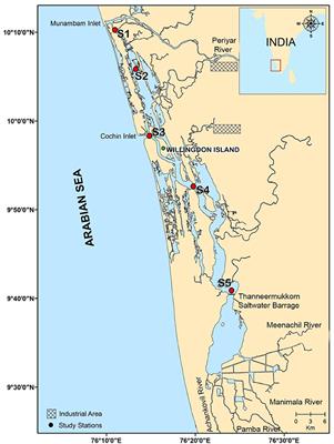 Viral-Induced Mortality of Prokaryotes in a Tropical Monsoonal Estuary